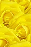 SAMPLE ~ Real Touch Foam Roses Wholesale Bulk RT-001