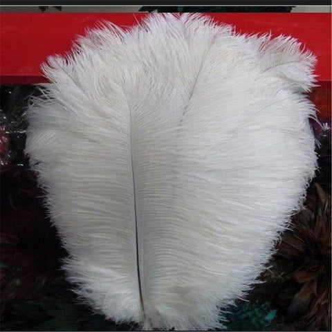Ivory Ostrich Feathers Plumes